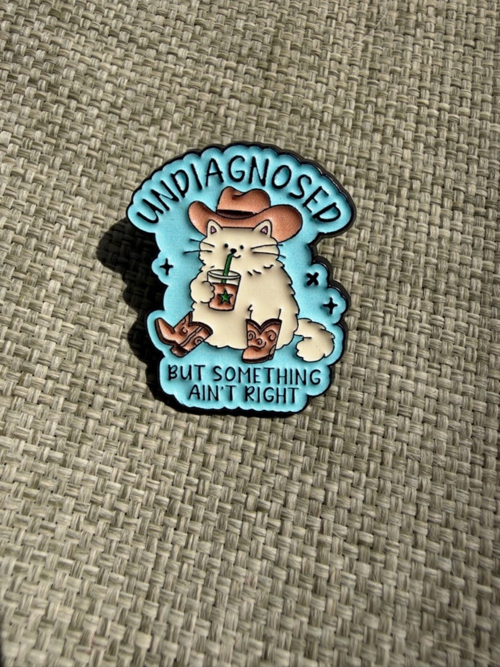 Cute 'Undiagnosed' Cat Enamel Pin - Blue Background